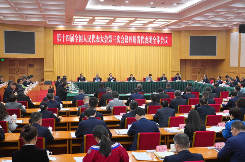 四川代表团举行全体会议 审议大会有关决议草案 王晓晖主持并讲话 施小琳参加「相关图片」