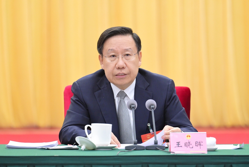 四川代表团举行全体会议 审议大会有关决议草案 王晓晖主持并讲话 施小琳参加「相关图片」