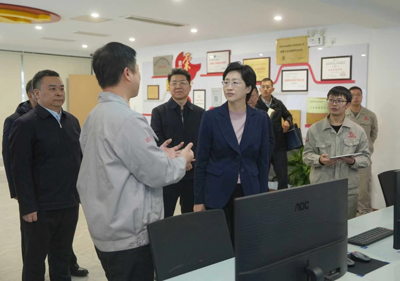施小琳在调研民生实事推进落实情况时强调 高质量推动各项民生实事落地见效 切实增强人民群众获得感幸福感安全感「相关图片」